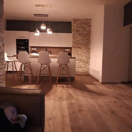 Luxusní Apartmán S Terasou A Zahradou čeladná Apartmán